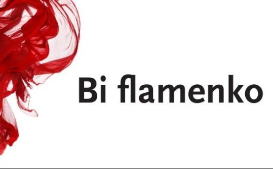 Bi flamenko 2018. International Flamenco Biennial Ljubljana
